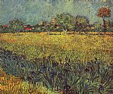 View of Arles with Irises in the Foreground